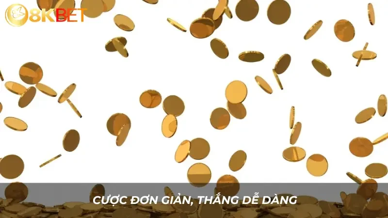 Cược đơn giản, thắng dễ dàng