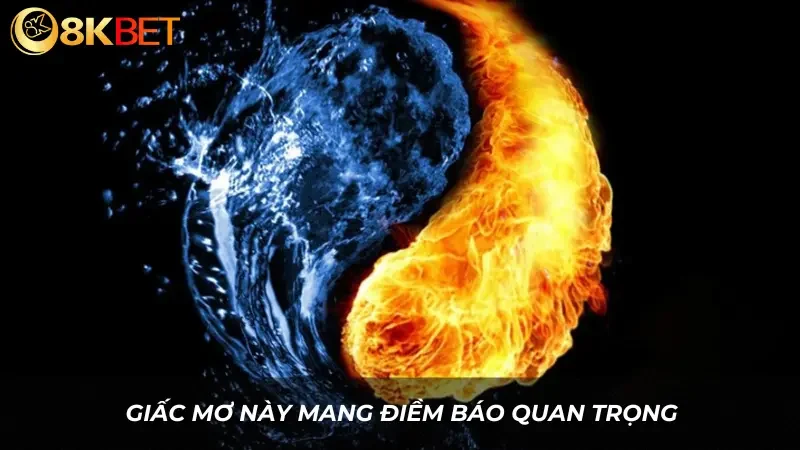 Giấc mơ này mang điềm báo quan trọng